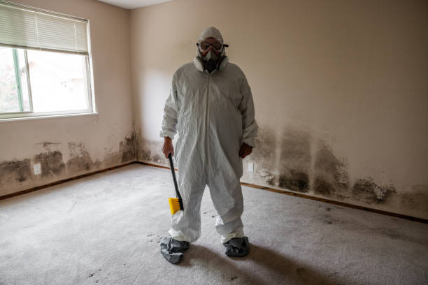 Best Crawl Space Mold Removal  in Falls Creek, PA